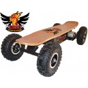 Emad 800w Ride on Electric Skateboard 