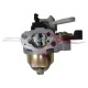 Carburetor 19mm 196cc 