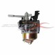 Carburetor 19mm 196cc 